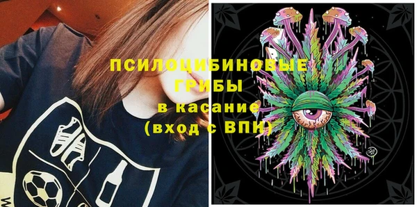 круглые Абаза