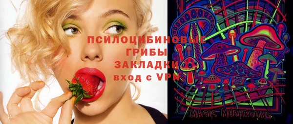 МДМА Каменка