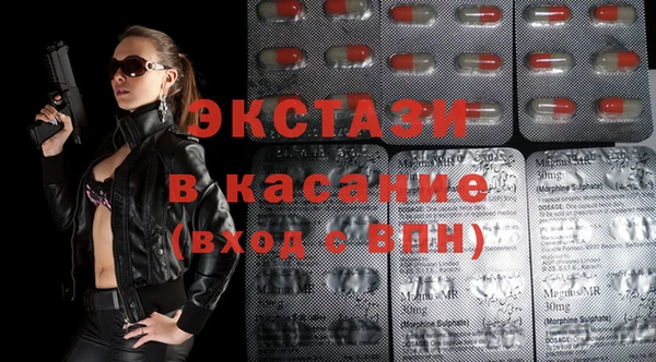 стаф Каменногорск